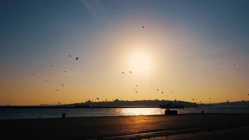 Sea and Seagulls At Sunset