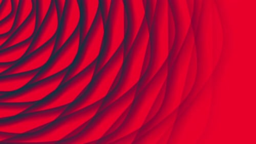 Abstract Red Gradient Wavy Flowing Shapes Background Animation