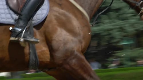 Reiten 2