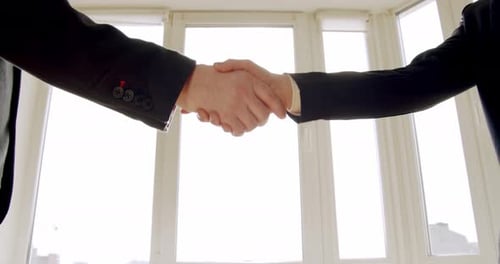 Business Handshake in Front of Bright Window