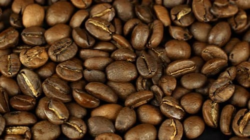 Primer plano de rotación de los granos de café 360. Los granos aromáticos dorados seleccionados giran