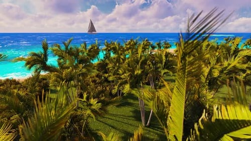 Beach Of Palms