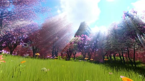 Cherry Forest Blossom In Spring