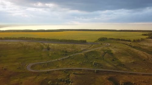 Auto auf der Straße in der Natur