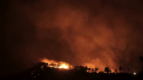 Smoke of a Forest Fire