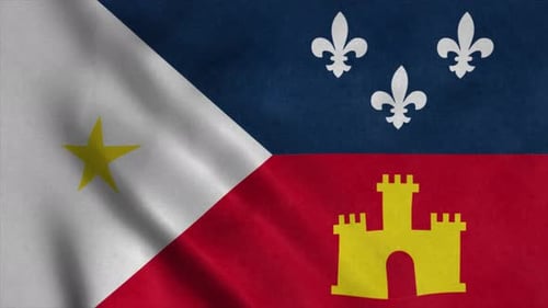 Stylized Flag with Star, Fleur-de-lis, and Castle Waving