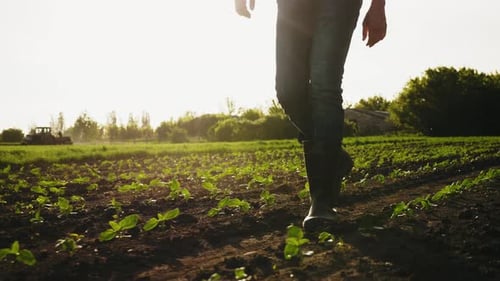 Farmer Walking on the Field in Rubber Boots