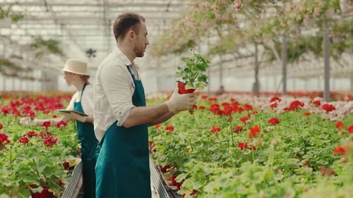 Garden Workers are Working