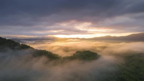 Cloudy and foggy weather Over the green forest.
