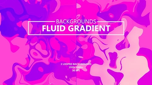 Vibrant Pink Purple Fluid Gradient Background Loop