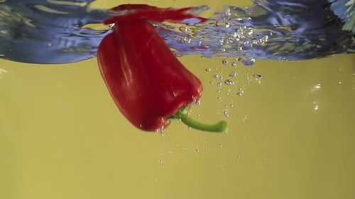 Red Bell Pepper Falling Into Water