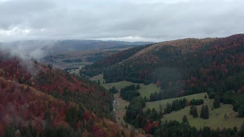 Autumn forest foliage, Romania. Aerial panning