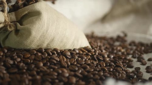 Roasted Coffee Beans Spilling from Burlap Bag