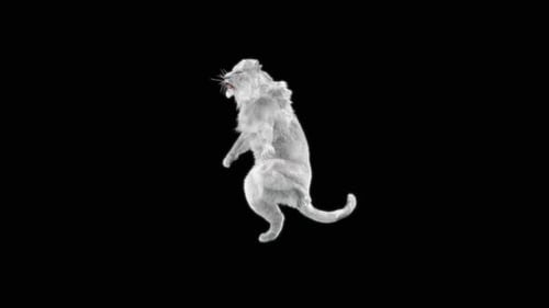 White Lion Dancing HD