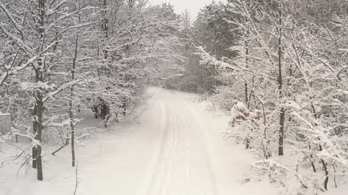 Schöne Winterszene im Wald 4K Drohnenvideo