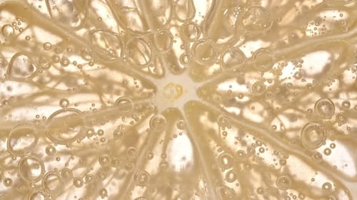 Refreshing Lemon Slice with Bubbles Macro Shot