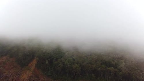 Winding Mountain Road near Misty Rainforest Trees, Drone View.