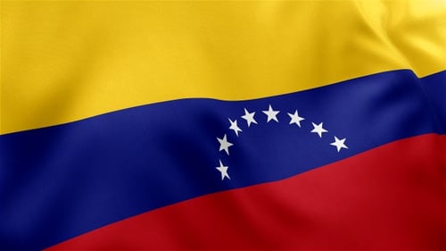 Realistic Venezuela Flag Waving Seamless Loop