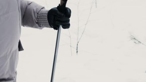 Senior Woman With Poles For Nordic Walk