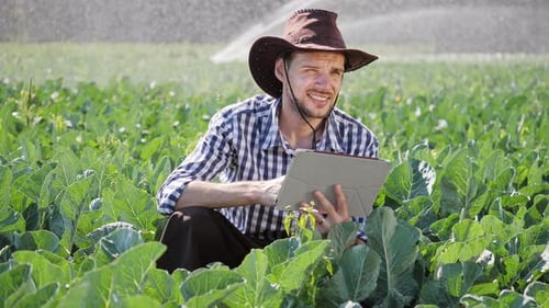 Farmer Using Digital Tablet During Monitoring His Plantation.