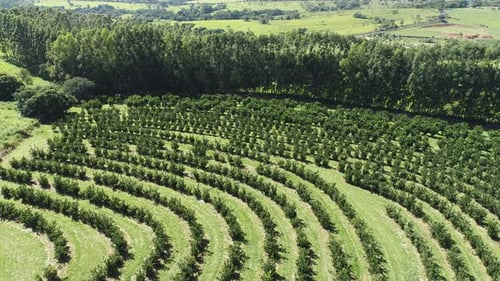Rural landscape aerial view. Nature scenery