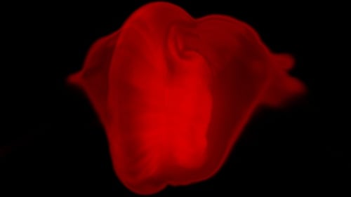 Red Fluid Smoke Reveal Transition