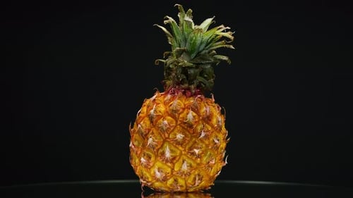 Closeup of Rotating Ripe Pineapple on Black Background Making a Cocktail of Fruits or Berries