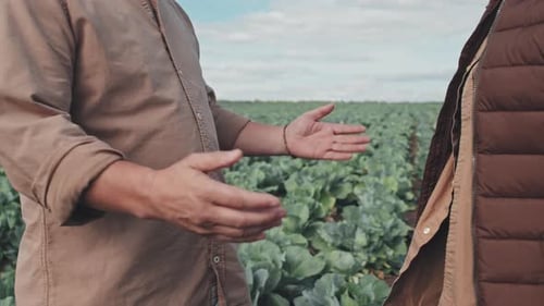 Farmers Shake Hands in the Crop Field