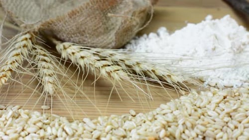 Wheat Shafts and Flour Still Life