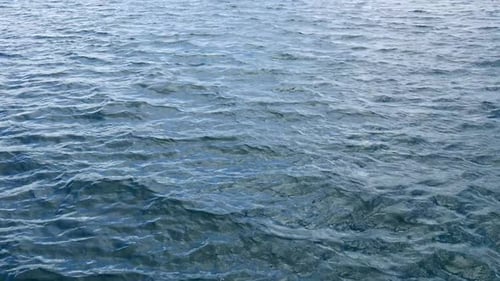 Sea surface