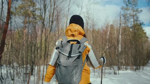 Millennial woman hiking in forest during winter. Camera following her from behind