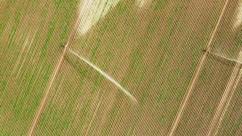 Aerial View of Automatic Watering Irrigation System Spraying Water Over Agriculture Field
