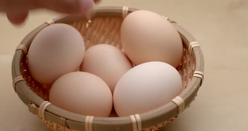 chicken egg
