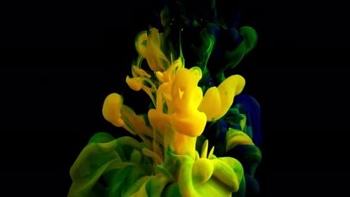 Colorful Ink Plumes Swirling on Black Background