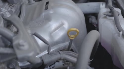 Close-up of Hand of the Boy Checking His Car Details