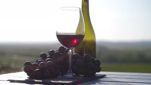 Wine and Grapes