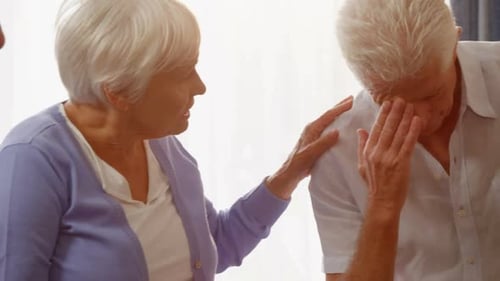 Comforting Seniors Offer Support in Bright Indoor Setting