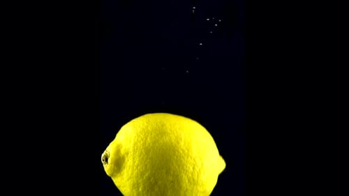 Lemon Falls in the Water in Slow Motion. Isolated on Black Background with Alpha. Close Up View