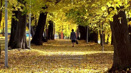 An elderly lady walks in the autumn park.