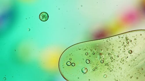 Abstract Colorful Food Oil Drops Bubbles 182