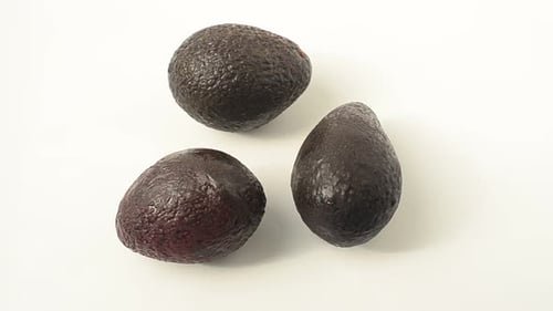 Avocado 17
