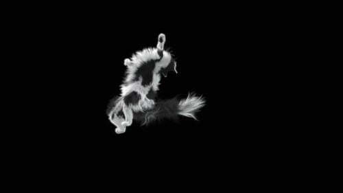 Katze HD