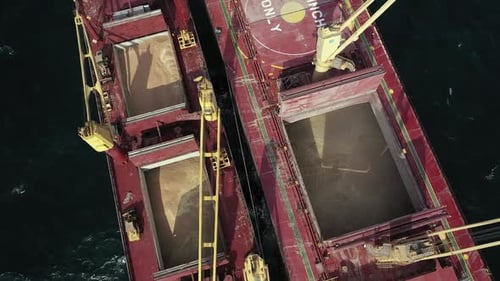 Top View Bulk Carrier Deck and Barge Filled with Coarse Grain Soybean or Wheat
