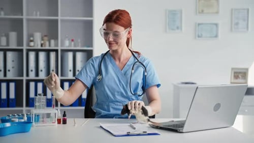 Scientist Working With Rat in Laboratory Setting