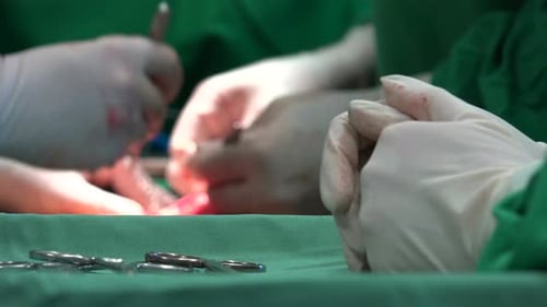 Surgical Suture Or Stitches