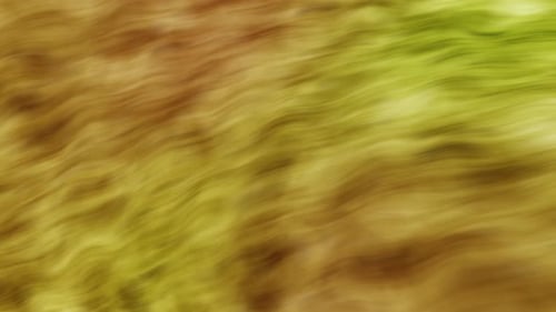 Orange Color with Gradient Wave Motion