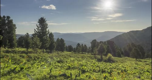 Mountain Meadow Timelapse