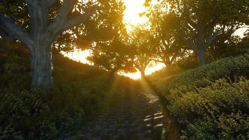 Path In Natural Park With Autumn Trees