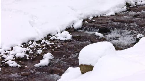 Wooden Bridge Over a Mountain Stream in a Forest Valley in the Carpathian Mountains