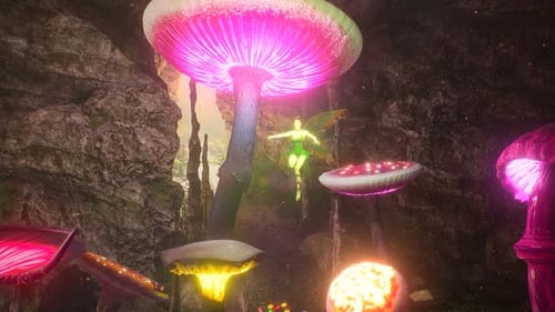 A Beautiful Fairy Makes Magic